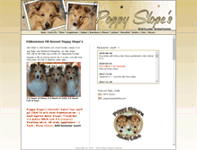 Tablet Screenshot of poppyslopes.com